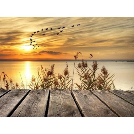 Sunset Lake & Birds