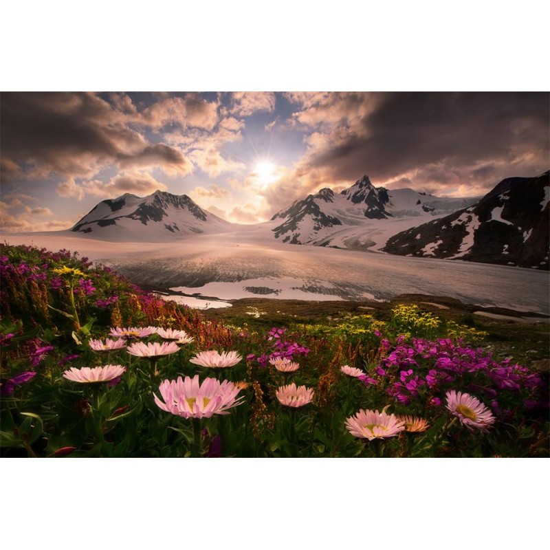 Sunset in Alaska Dia...