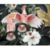 Cockatiel Parrots & Flowers