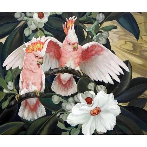 Cockatiel Parrots & Flowers