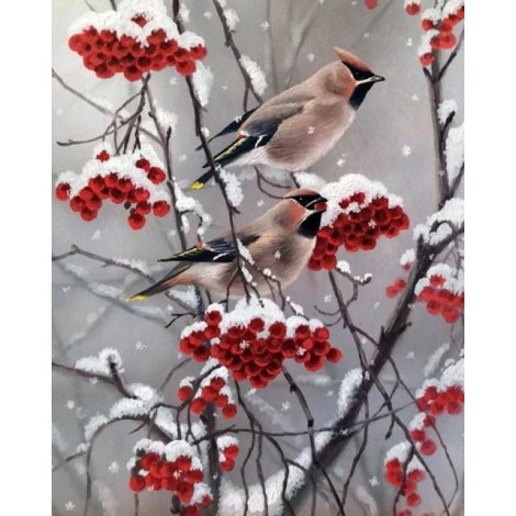 Bohemian waxwing Diamond Painting Kit