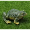 Frog - Paint by Diamonds