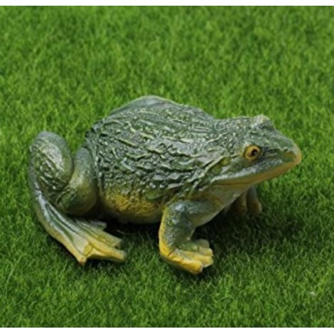 Frog - Paint by Diamonds