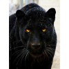 Black Panther - Paint by Diamonds