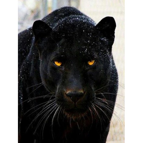 Black Panther - Paint by Diamonds