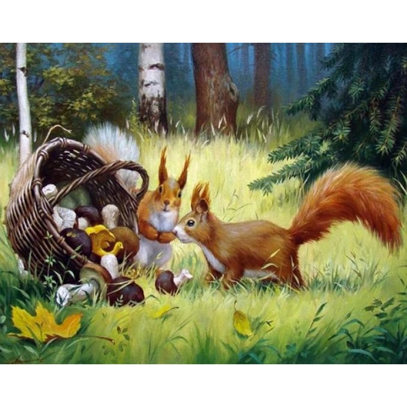 Squirrels in the For...