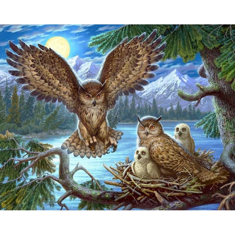 Owl Flying Back to N...