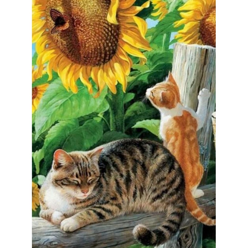 Sunflowers & Cat...