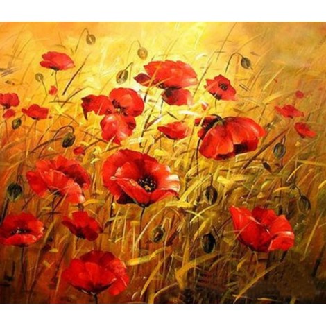 Sun Shines in Poppy Fields