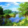 Summer Trees & Lake View