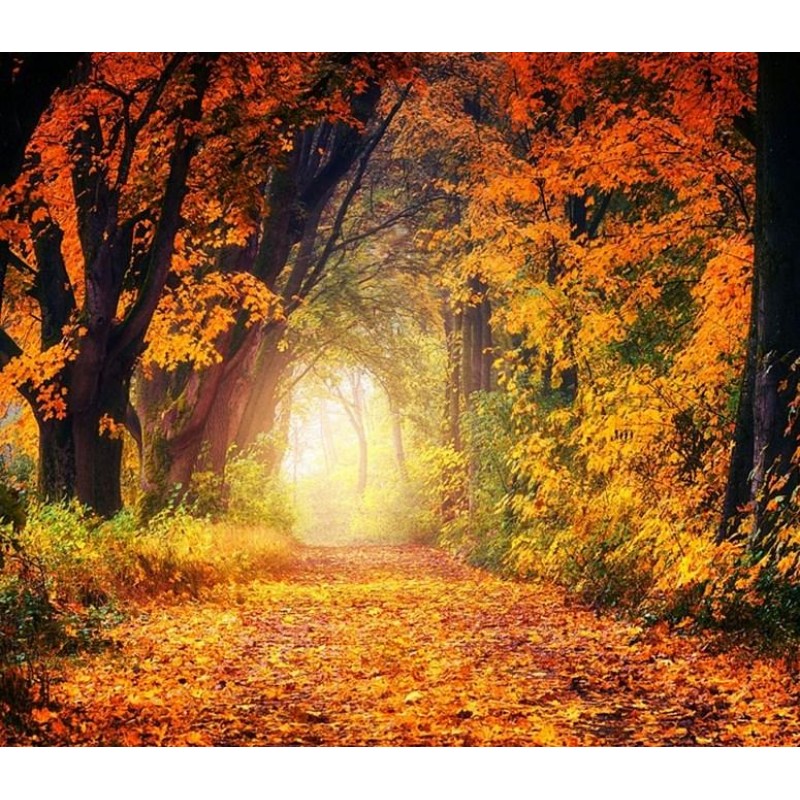 Summer to Fall - Paint by...