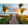 Summer Scenic Beauty