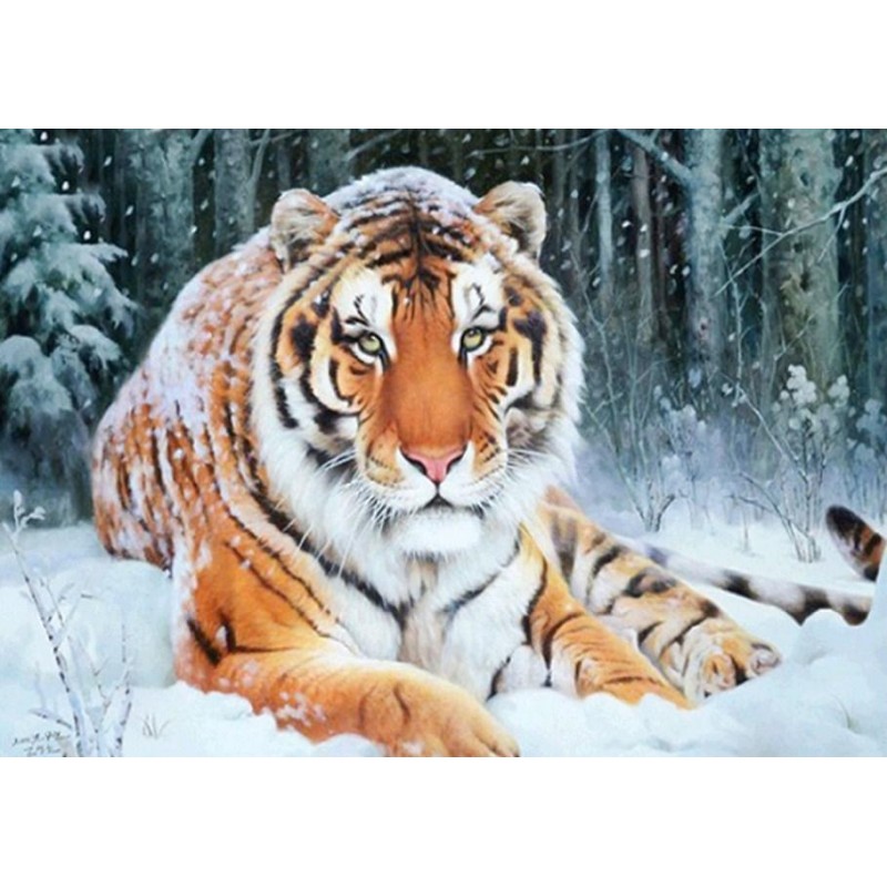 Stunning Tiger Under...