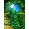 Stunning Peacock Painting Kit