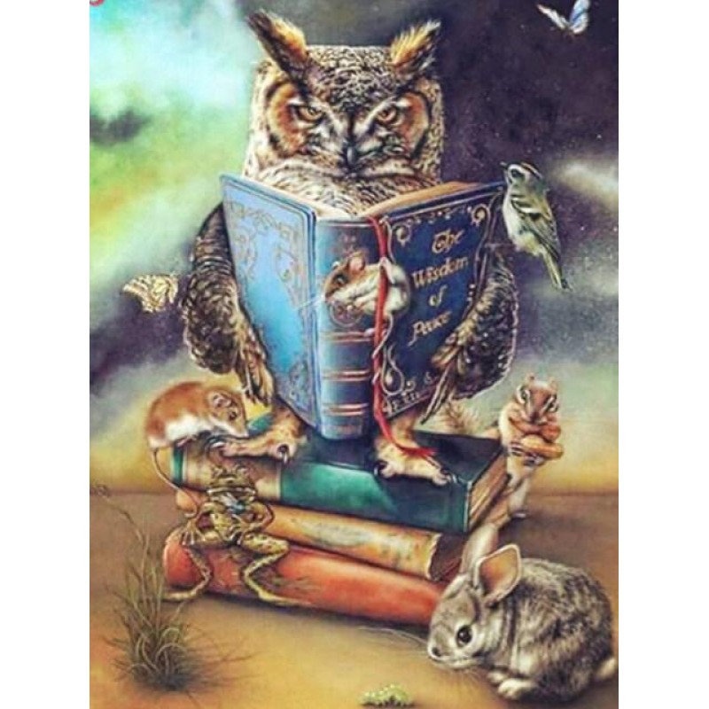 Owl Reading Book Dia...