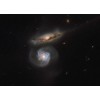 Mega-maser Galaxy