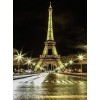 Stunning Eiffel Tower in Night Lights