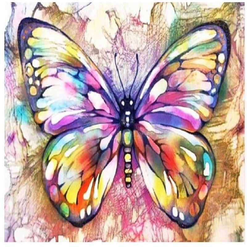 Stunning Butterfly D...