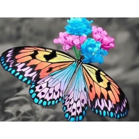 Stunning Butterfly & Flowers