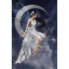Stunning Beauty Collection DIY Diamond Painting