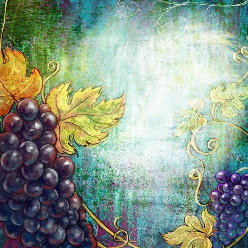 Still Life Grapes DI...