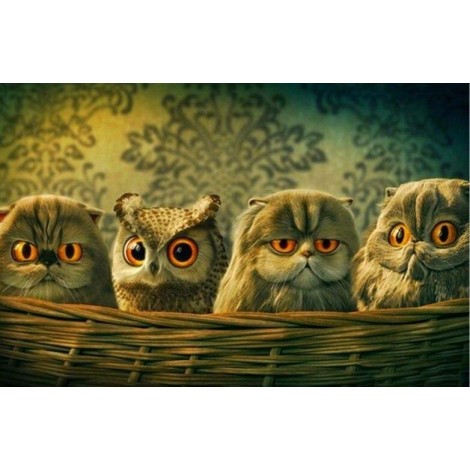 Funny Owl Basket Diamond Painting