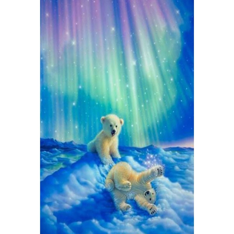 Baby Bears & Aur...