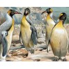 Beautiful Penguins - Paint with Diamonds