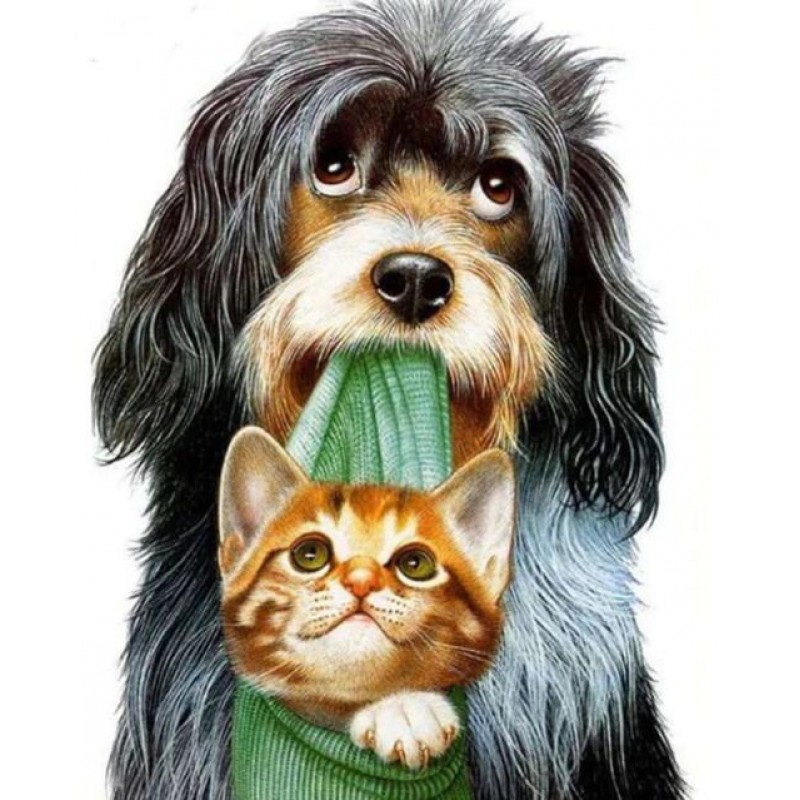 Kitten & Puppy -...