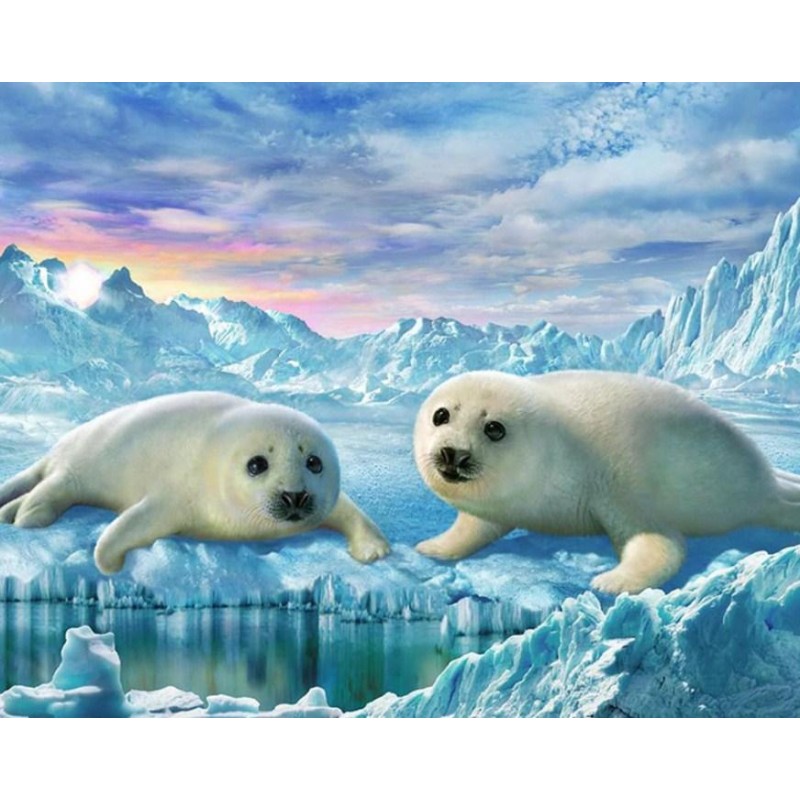 Seals Pair - Paint b...