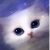 Cute White Cat with Blue Eyes