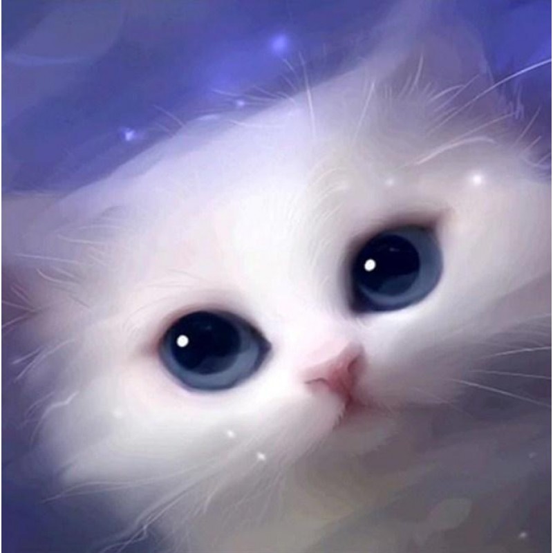 Cute White Cat with ...