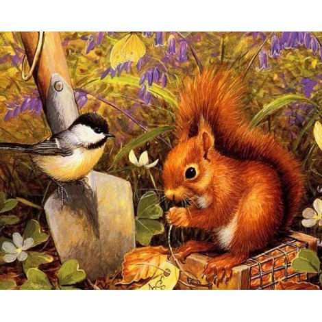 Squirrel & Sparrow