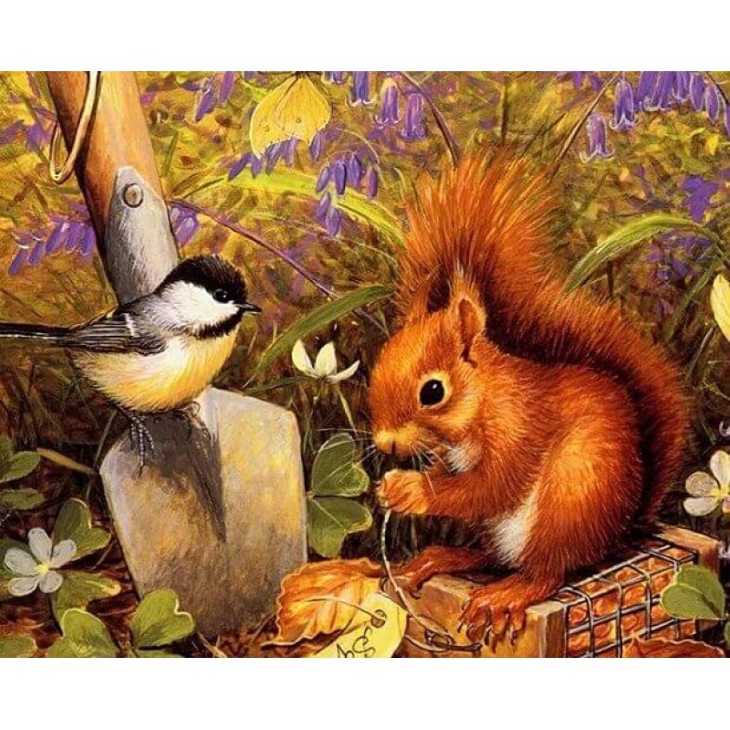 Squirrel & Sparr...