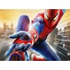 Spider man DIY Painting Kit