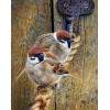 Sparrows Sitting on the Rope