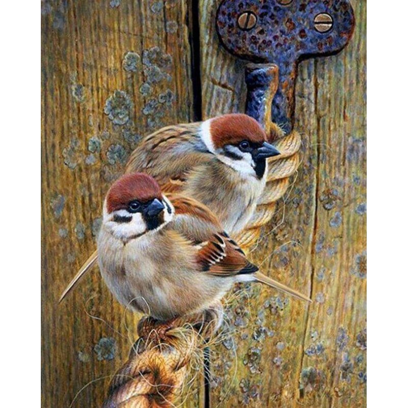 Sparrows Sitting on ...