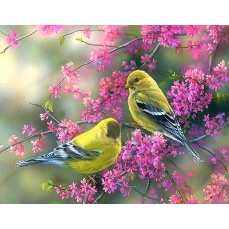 Sparrows 5D Diamond ...