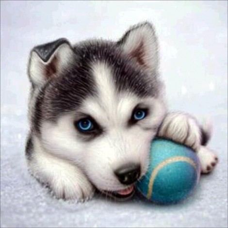 Husky Puppy - Paint by Diamonds