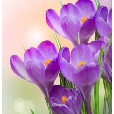 Purple Floral Beauty Diamond Painting