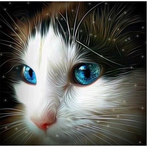 Fascinating Cat with Blue Eyes