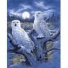 Snow Owls Pair Diamond Painting