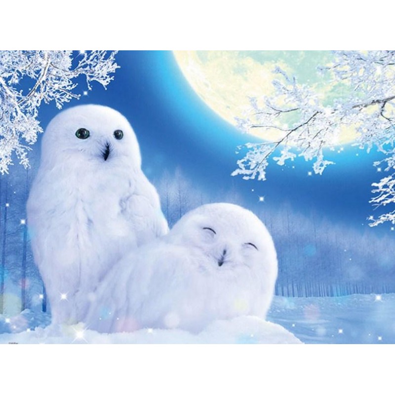 Snow Owls Diamond Pa...