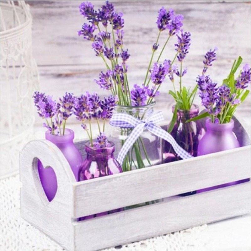 Fresh Lavenders - Pa...