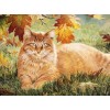 Ginger Cat - Paint by Diamonds
