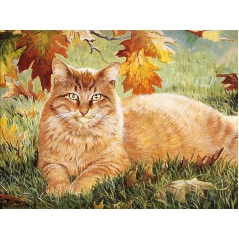 Ginger Cat - Paint by Diamonds