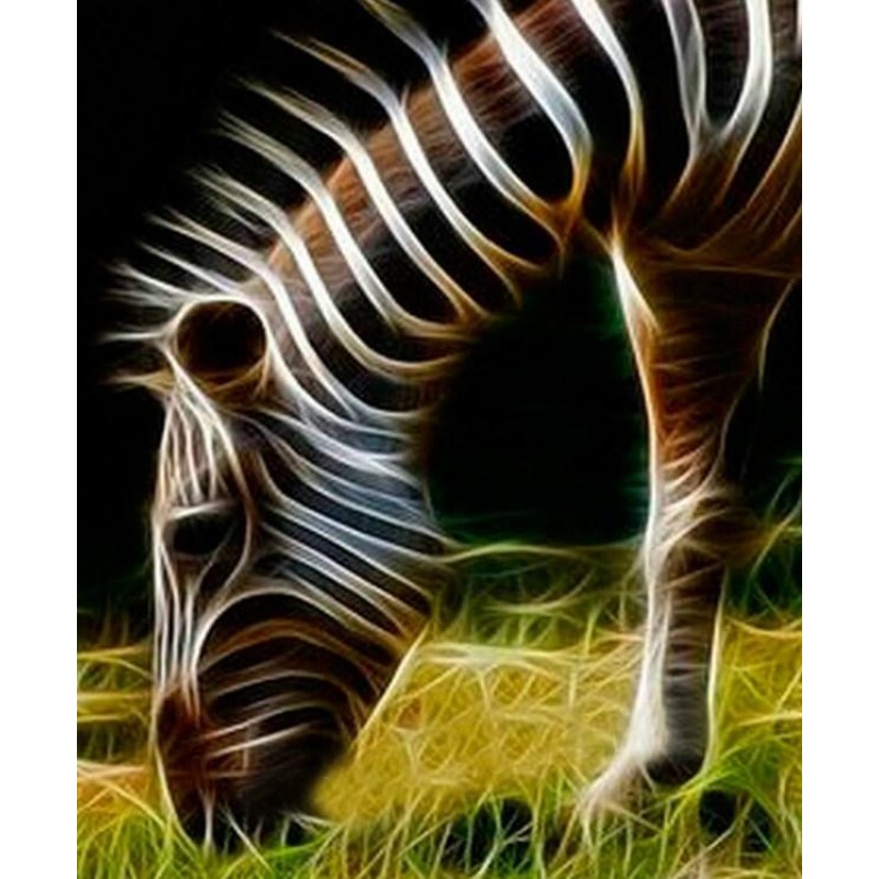 Grazing Zebra - Diam...