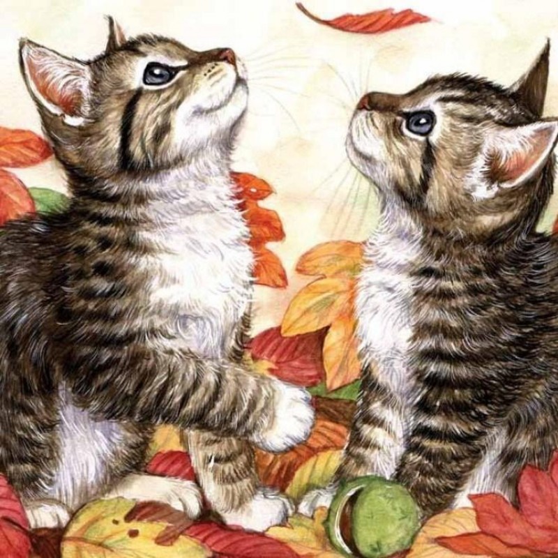 Kittens & Autumn...