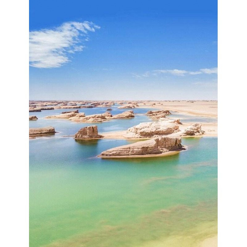 Amazing Sea Dunes Di...