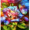 Rainbow Butterflies & Rose